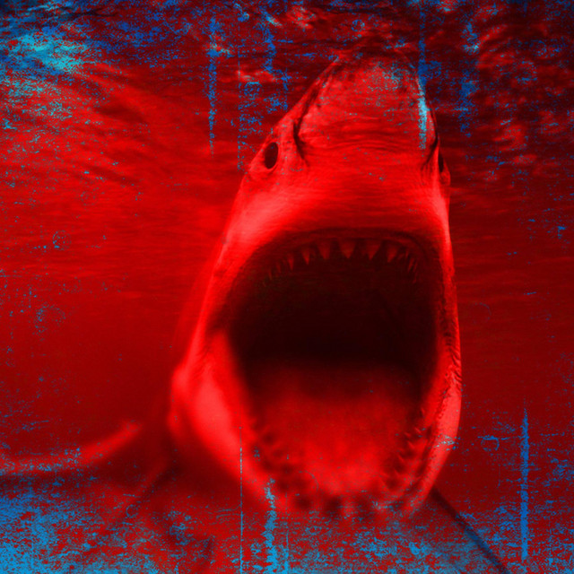My Shark Instincts Are Kicking In